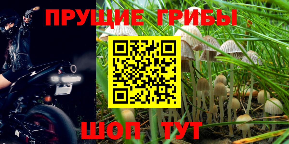 Псилоцибиновые грибы GOLDEN TEACHER Лениногорск